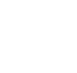 Nishat logo